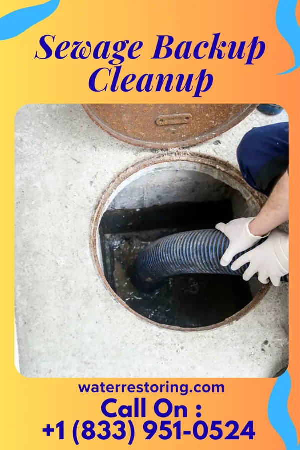 Sewage Backup Cleanup in Camden, AR