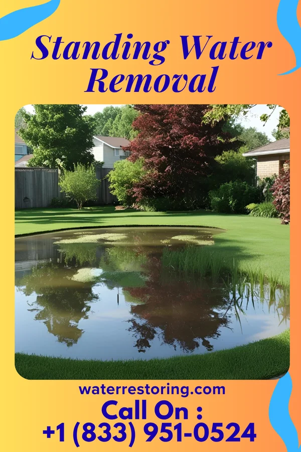 Standing Water Removal in Camden, AR